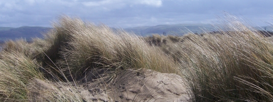 The beach at Borth
