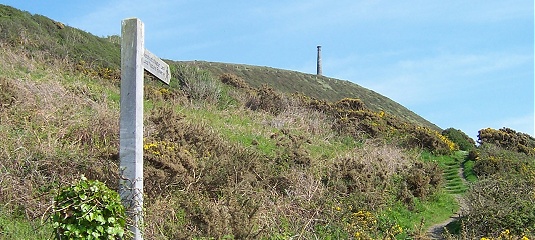Pen Dinas