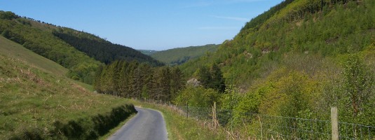 Cwm Rheidol view