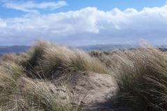 Sand dunes at Ynyslas
