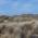 Ynyslas